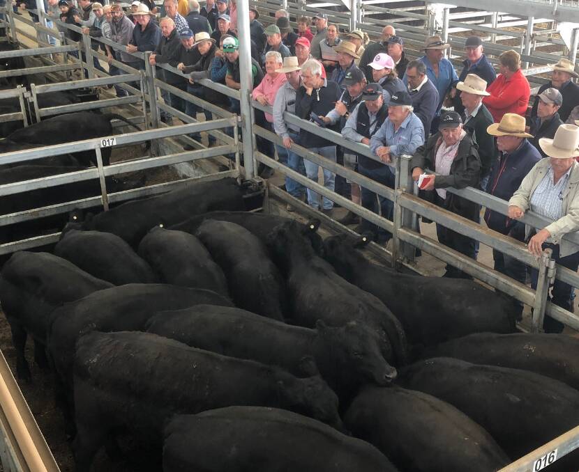 SOLD: Best presented pen of steers went to Woodell P/L for this pen of Angus. 