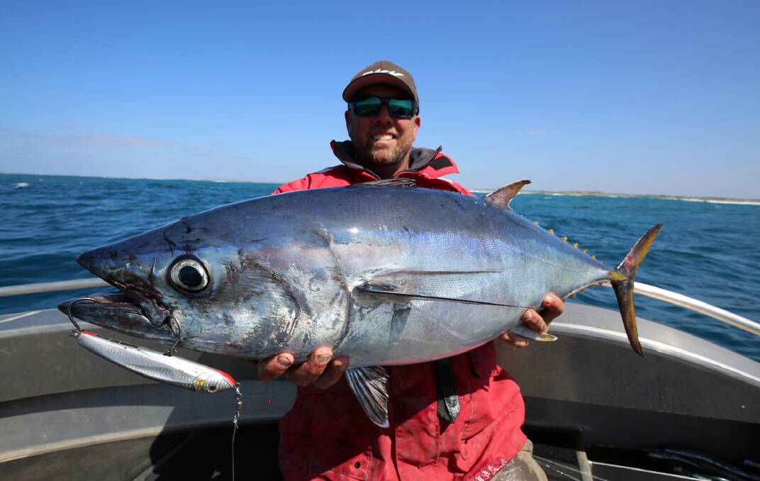 SENSATIONAL EFFORT: The big school tuna come right in close to feed on tiny baits. Pictures: Supplied