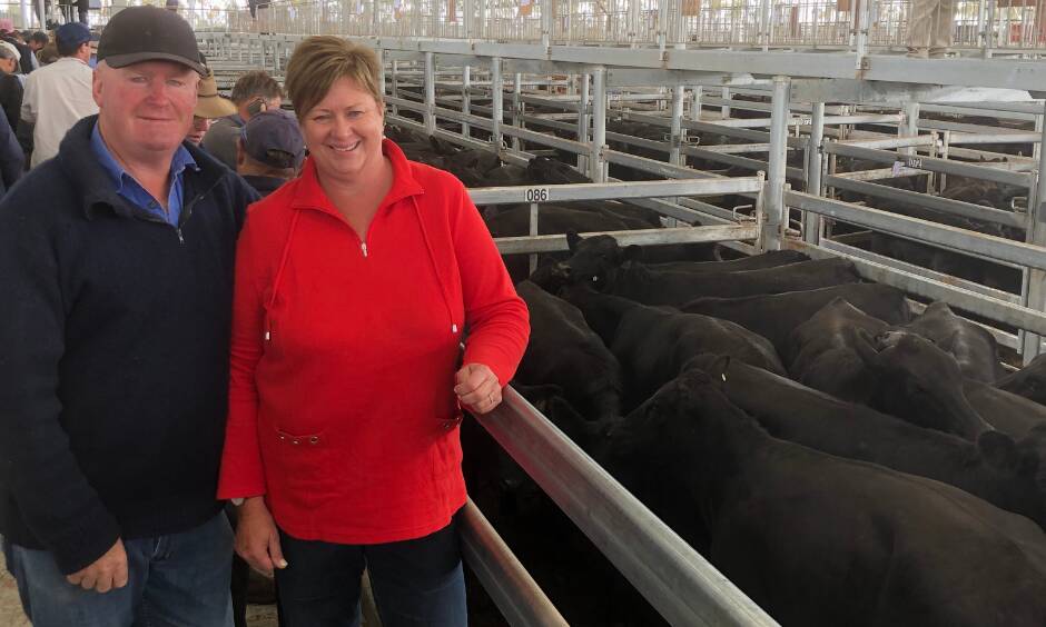TO MARKET: David and Robyn Roach of Kilkenny had two great pens of Angus Heifers (40 in total), which sold to the same buyer for a high 273c/kg at WVLX's store sale.