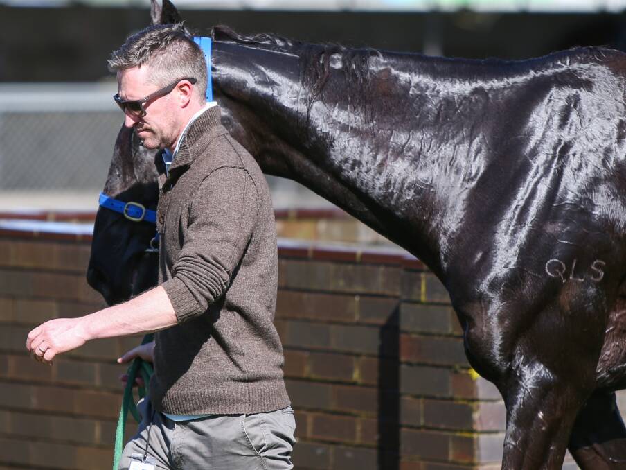 FORM: Trainer Patrick Ryan says that I’ll’ava’alf has come back in great condition. Picture: Morgan Hancock