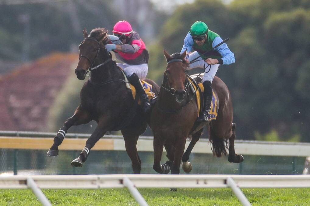 CLASSIC: Old rivals Gold Medals and Zed Em battle for supremacy in last week's Grand Annual at Warrnambool. Picture: Morgan Hancock 