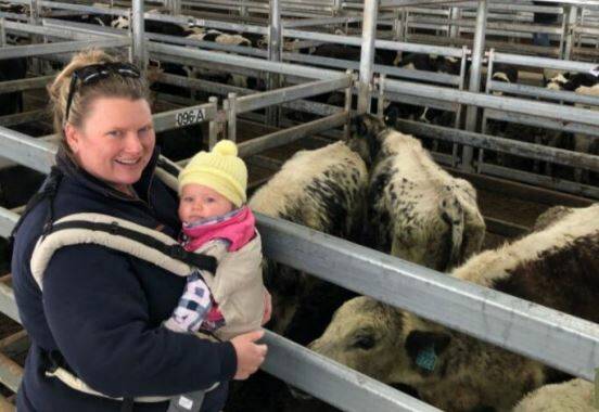 TO MARKET: Alisha Adams, with the adorable Maddison McRae (nine months), bought this top pen of Speckle Park cows and calves at Mortlake for $2,090ph. The purchase was on behalf of her parents, who are starting to rear the sought-after breed.