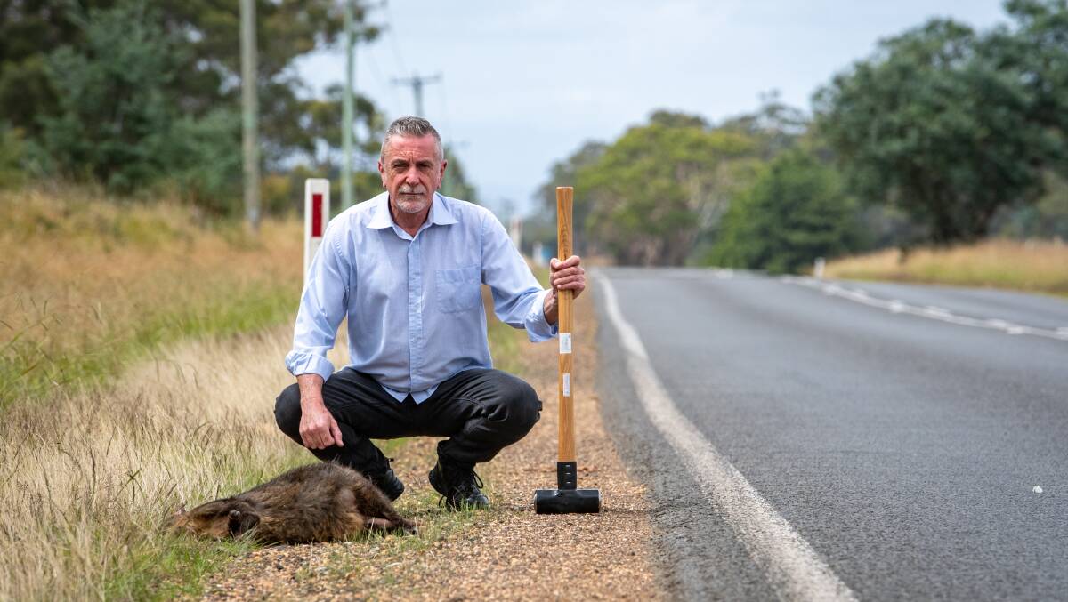 Wildlife rescuer Rowan Wigmore says roadkill should be moved 20 metres from the road to stop scavengers getting hit too. Photo: Paul Scambler