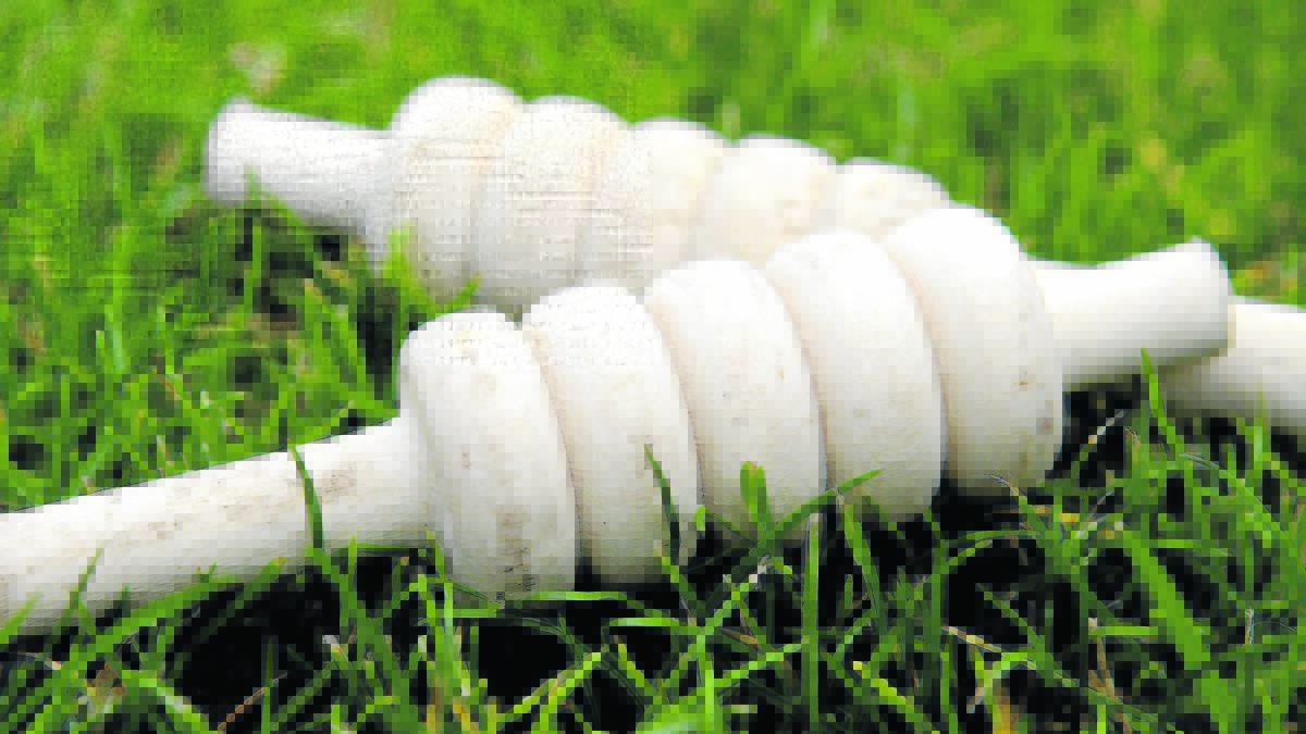 Decision to hit cricket clubs with fees dividing councillors