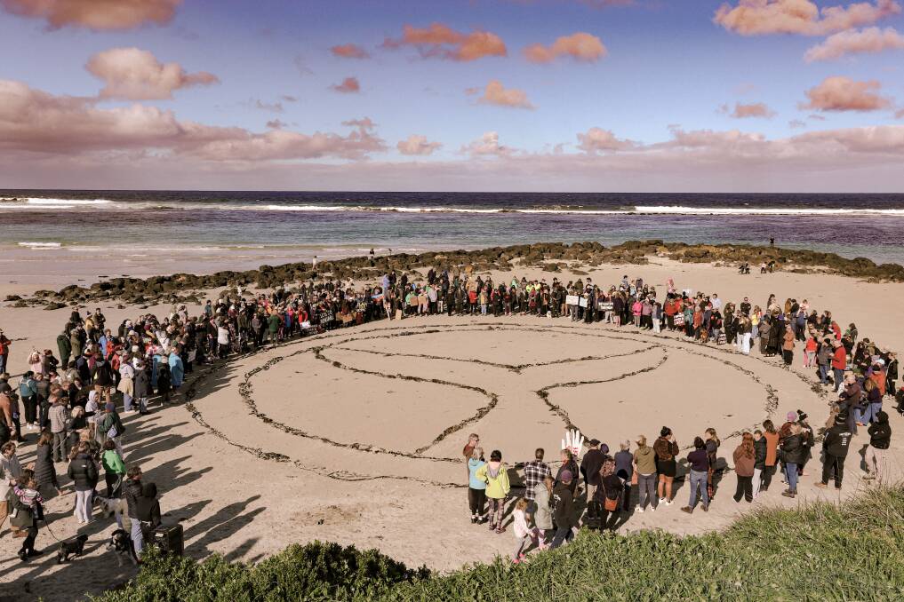 Hundreds of people turned out last month in Port Fairy to oppose seismic testing off the coast. File picture