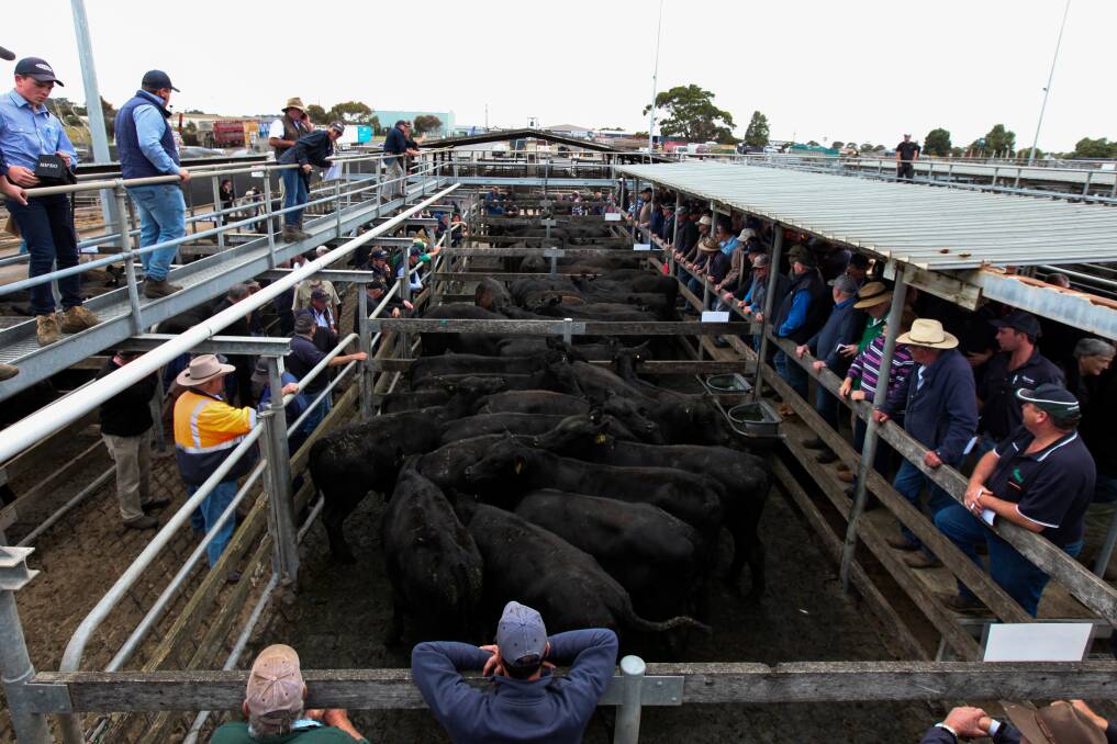 Upgrade: The saleyards is set for a major upgrade, but one farmer has queried how the $2 levy was used by the council.