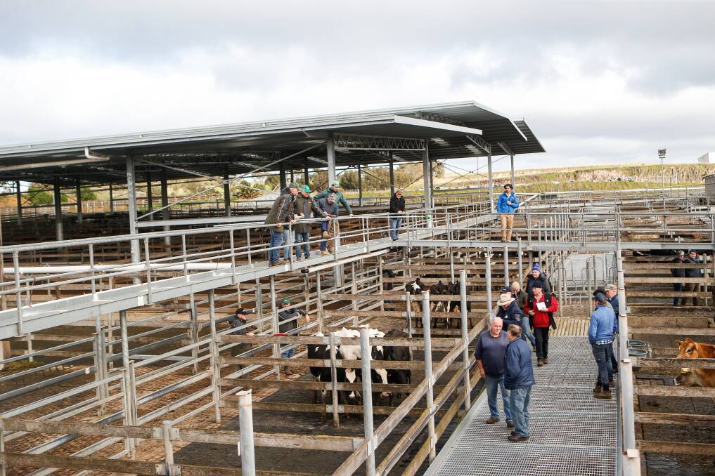 New ideas: Could there be other options for the saleyards that the council hasn't considered?