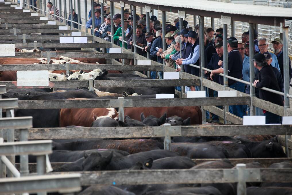 Green light: The saleyards will hopefully have its new roof by Christmas with the government handing over a grant on Thursday to help fund the project.