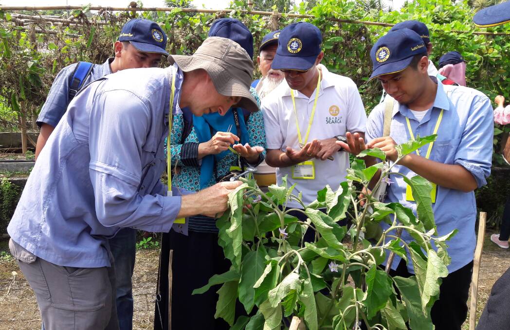Education: Anthony Leddin's work in Indonesia on the bambara groundnut captured the attention of Bayer.