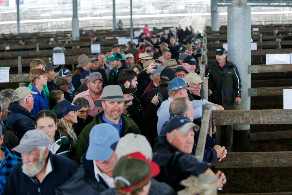 About 500 people turned out to buy, sell or just watch the final sale at Warrnambool's Livestock Exchange on Wednesday. Picture by Anthony Brady