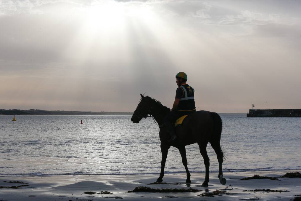 Safe access to Lady Bay beach in Warrnambool is the focus for horse trainers rather than Spookys Beach ... for now.