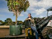 Growing business: David Winters has invested more than $1 million to set up his tree farm at Allansford. Picture: Chris Doheny