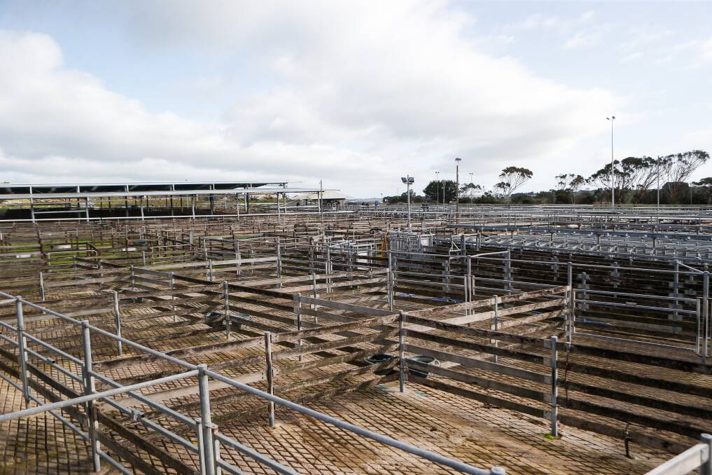 The disused Warrnambool saleyards is being dismantled and sold off after it closed just before Christmas.