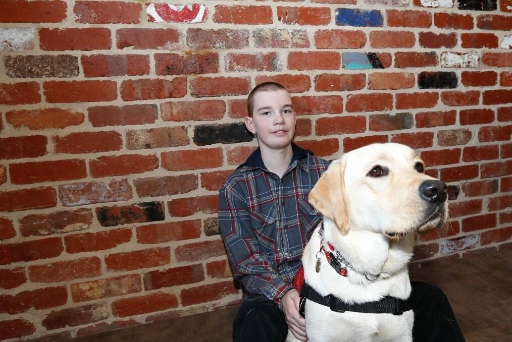 Ben Stewart's new assistance dog Calvin will help alert his family to epileptic seizures. Picture: Anthony Brady
