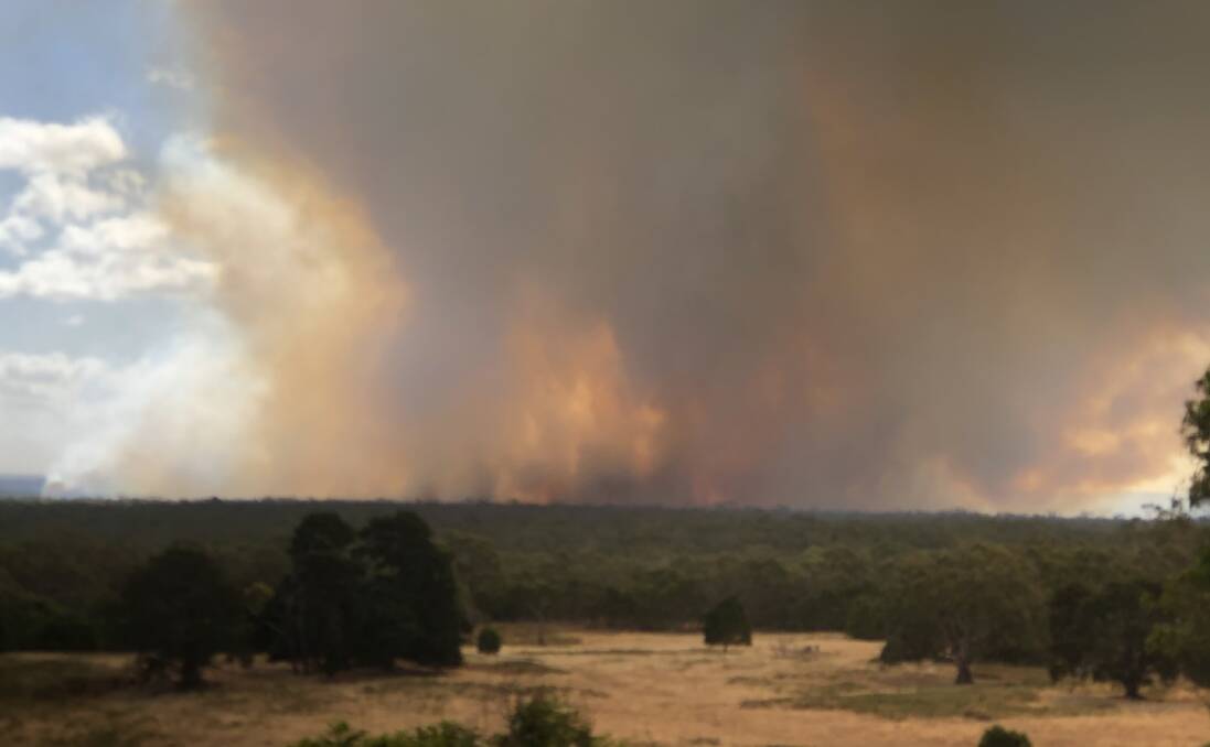 Fire in the Budj Bim/Mount Eccles National Park has now burnt almost 2000 hectares. Picture: Terry Sim