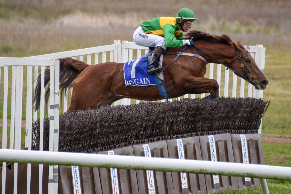 Double up: Tough Vintage ridden by Paul Hamblin wins the Great Western Steeplechase at Coleraine on Sunday. Picture: Reg Ryan/Racing Photos