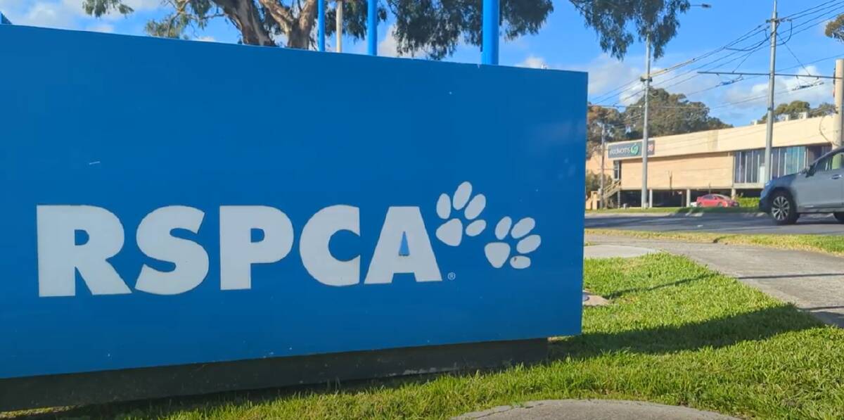 'A significant change': RSPCA tells staff it will cease operating shelter