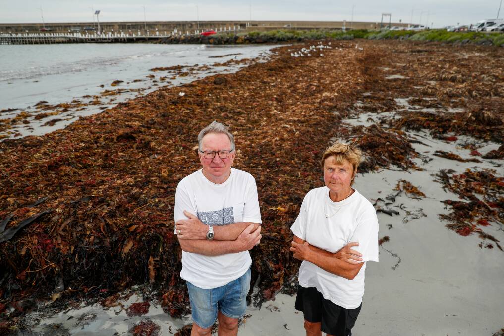 Dangerous: Cr Max Taylor and Tammy Good want to see seaweed removed from the whole beach. Picture: Morgan Hancock