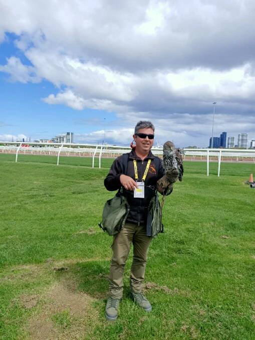 Conservation: Graeme Coles uses his birds of prey to keep seagulls off the track during the Melbourne Cup carnival.