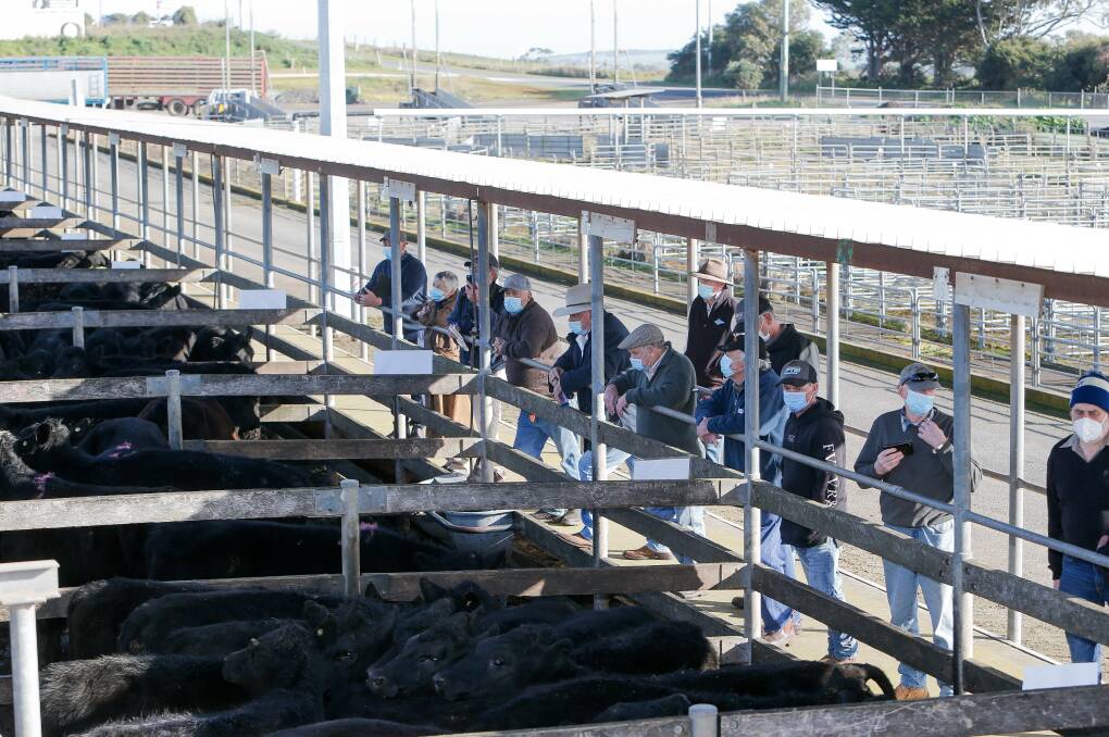 Growing: The saleyards have returned another profit.