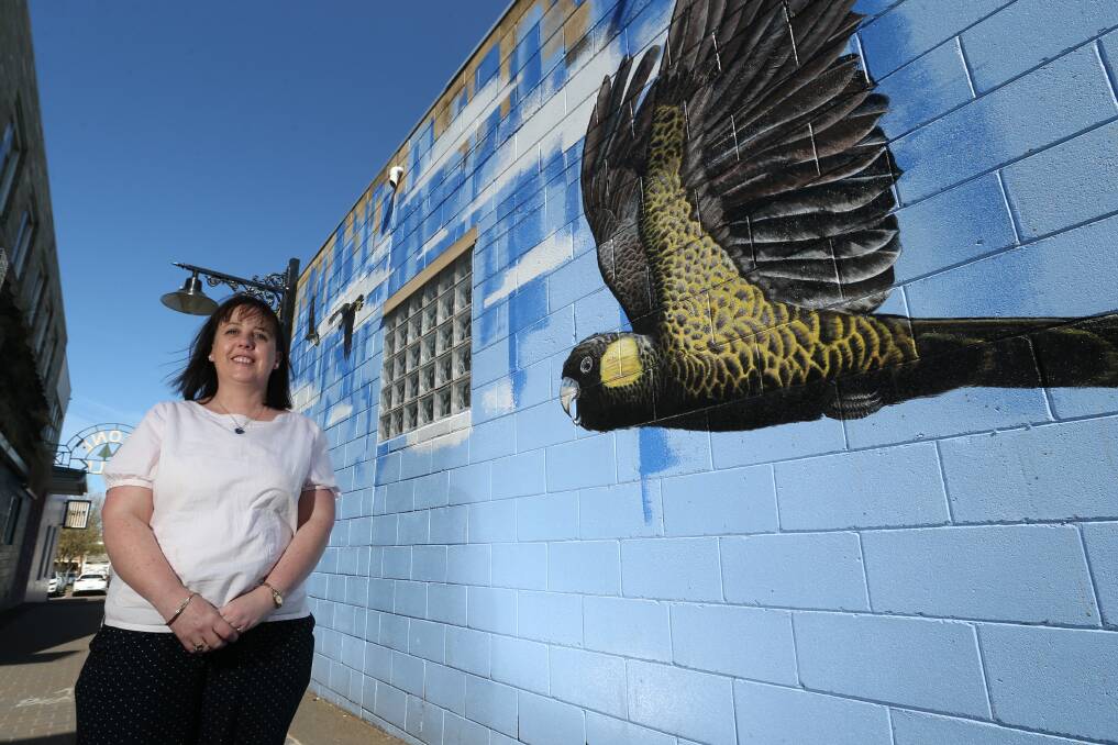 Economy boost: The city council's Helen Sheedy said studies have shown that street art is more valuable to Warrnambool's economy than first thought. Picture: Michael Chambers