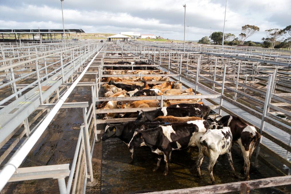Saleyards loss would be a 'disgrace', say upset farmers