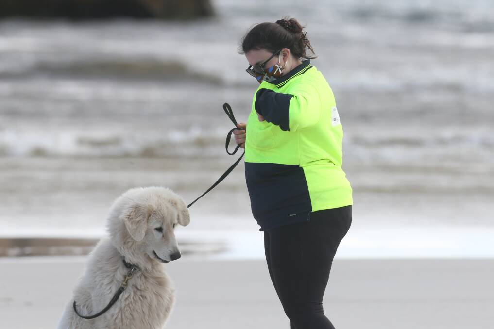 On guard: Volunteer Olivia Pagotto walks Isola at Stingray Bay beach as the dogs get ready for the arrival of penguins to Middle Island. Picture: Mark Witte 