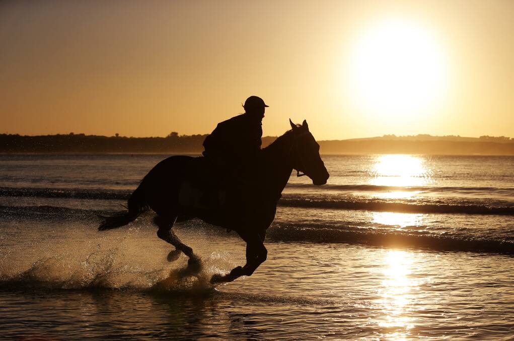 On track: Horse training will be contained to Warrnambool's Lady Bay beach, for now. There is still opportunity for them to train on Spooky's Beach but there are hoops to jump through.