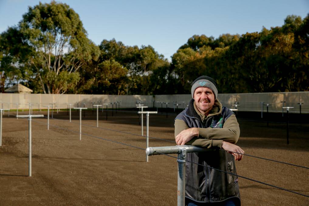 Growing business: David Winters has invested more than $1 million to set up his tree farm at Allansford. Picture: Chris Doheny 