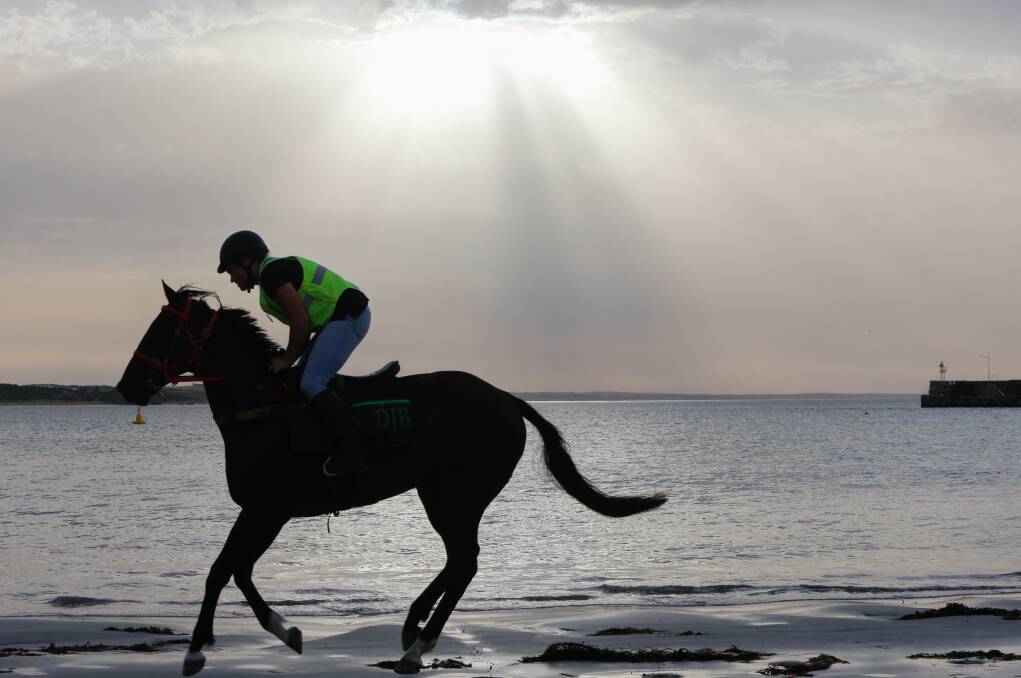 Decision time: Warrnambool City Council will decide if it will approve an extension which could see races horses on Spookys Beach.