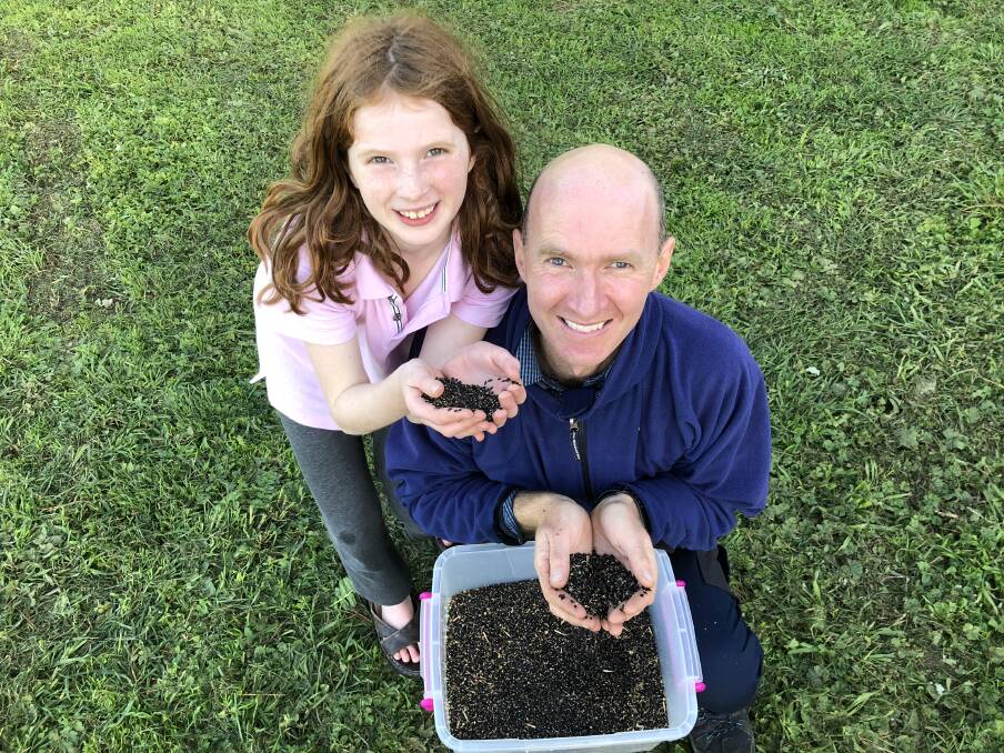 Harvest time: Anthony Leddin and daughter Emily, 9, with some of the wattle seeds harvested on his Yambuk property.
