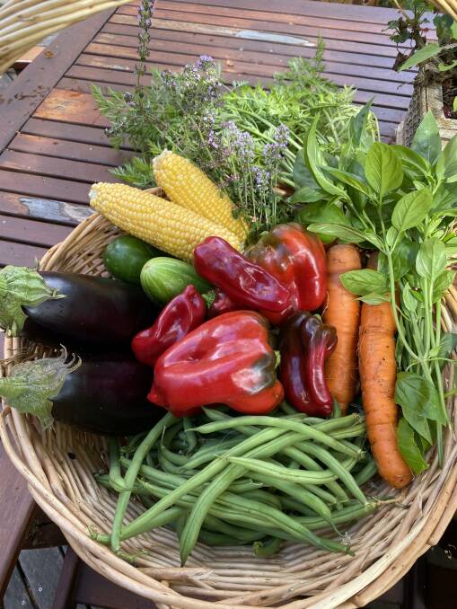 Some of the impressive crop that Perry Cho has harvested from his Warrrnambool garden. Picture supplied