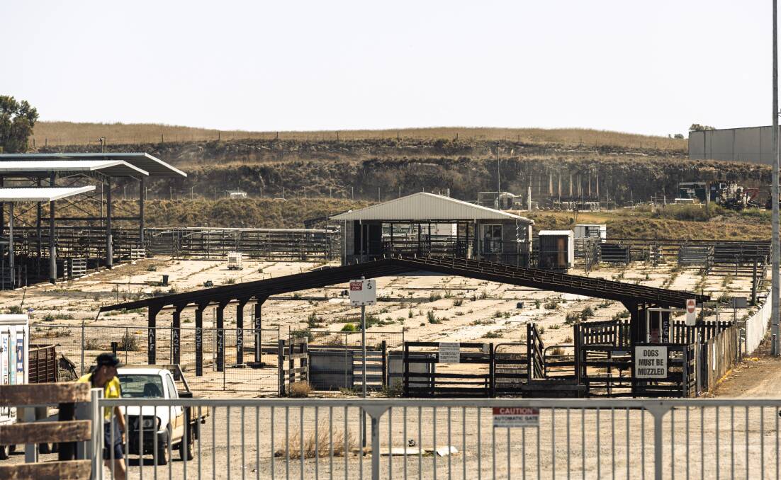 A report on the future use of the saleyards will be released to the public. Picture by Sean McKenna