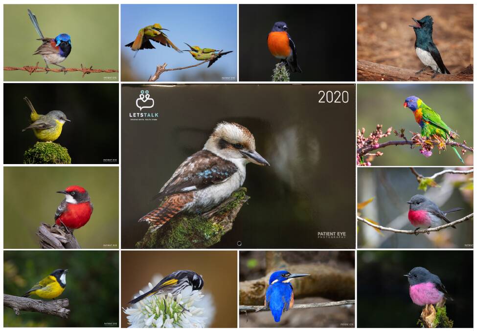 The collection of bird photographs that feature in the new fundraising calendar.