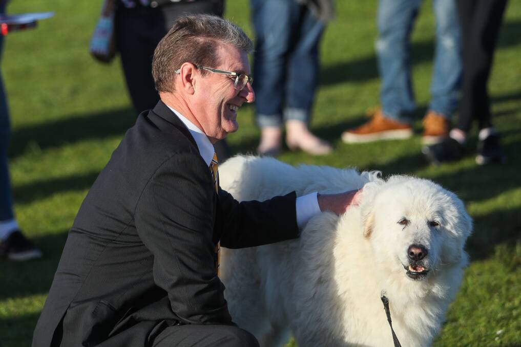 Drawcard: Peter Schneider with one of Warrnambool's famed Maremma dogs.