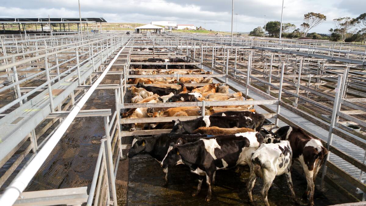 From multi-million dollar upgrades to possible saleyards closure: what changed?