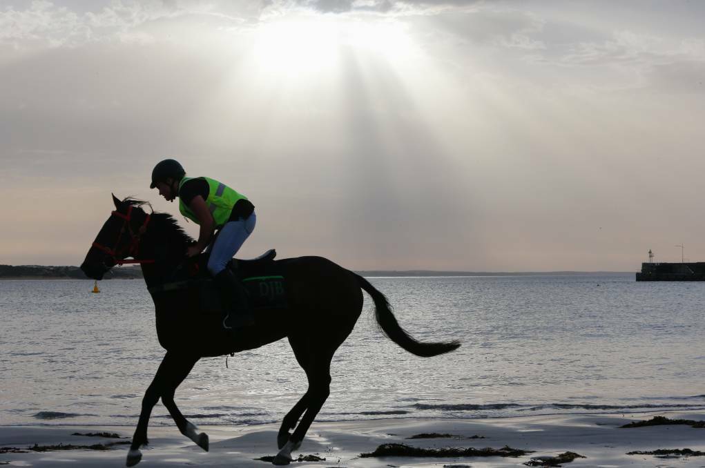 Council failed to decide on whether to allow the racing club more time to push ahead with getting race horses on Spookys Beach, instead calling for another special meeting of all stakeholders.