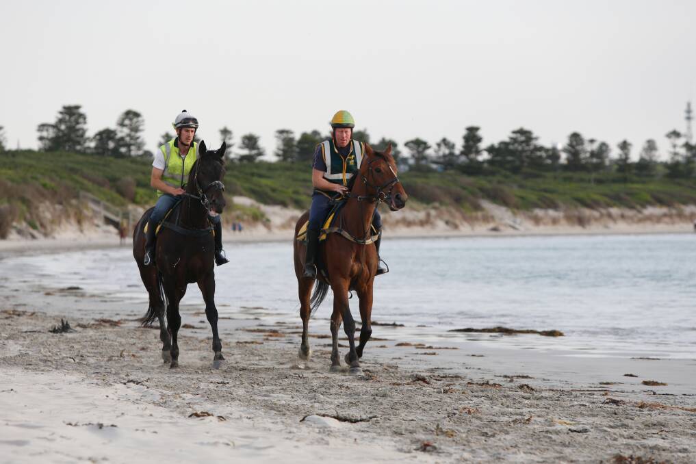 Summer break: Horses will take a break from training on Lady Bay beach over summer. The racing club is still pushing for horse training on Levys Beach. Picture: Mark Witte