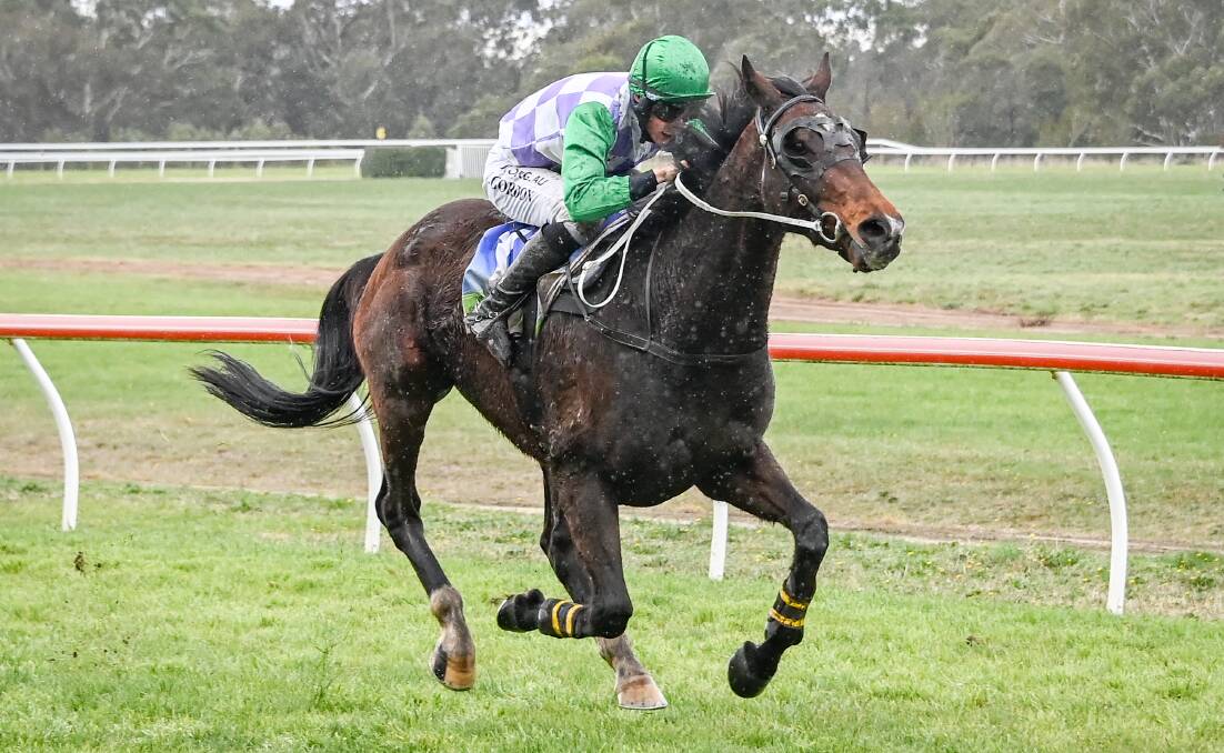 TOUGH: Police Camp, ridden by Will Gordon, competes at Casterton. Picture: Racing Photos/Alice Miles