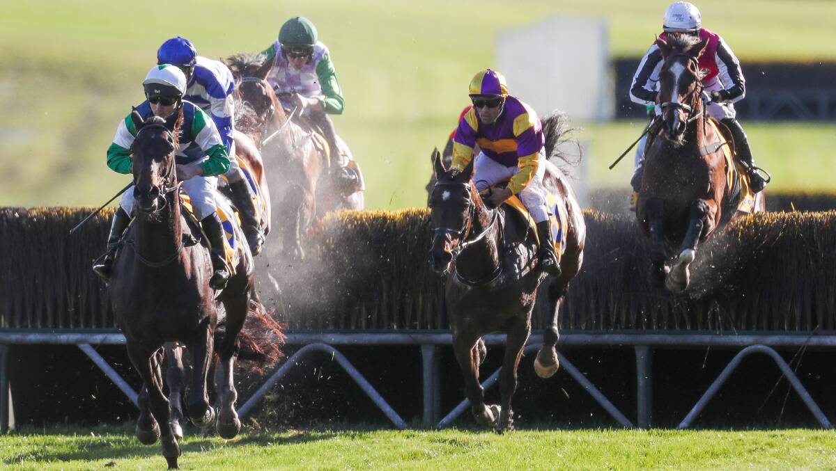 BUILDING UP: Horses go over a jump in the 2020 Grand Annual Steeplechase. Picture: Morgan Hancock