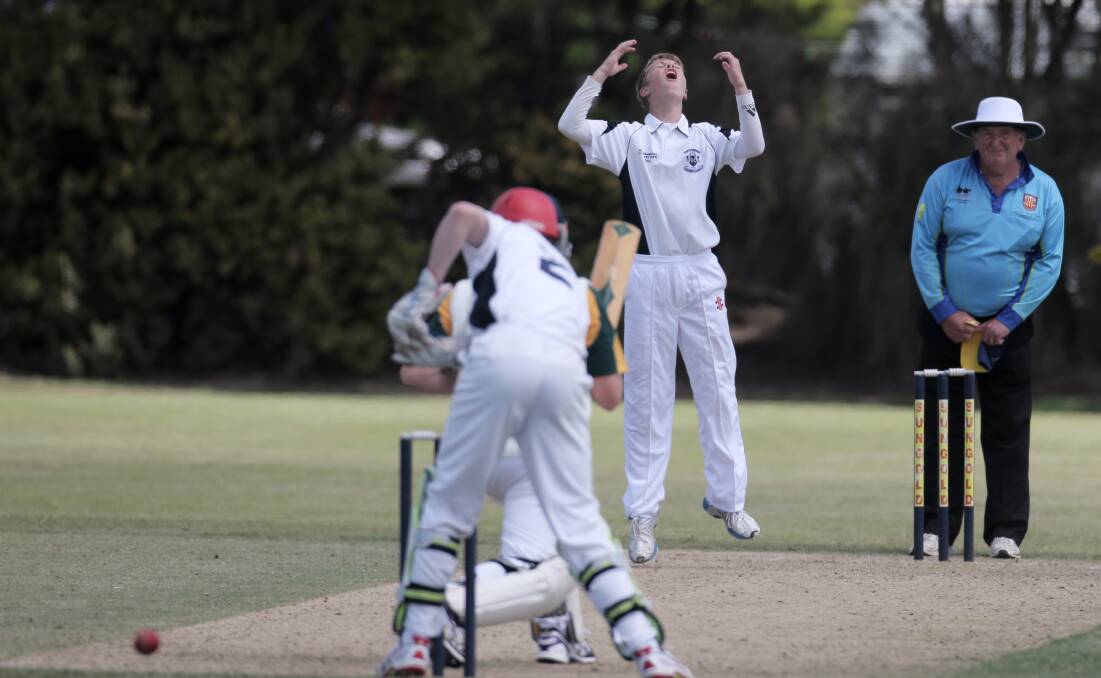 Joe Medew-Ewen bowls in his time as a Warrnambool and District Cricket Association under 17 country week prospect. 