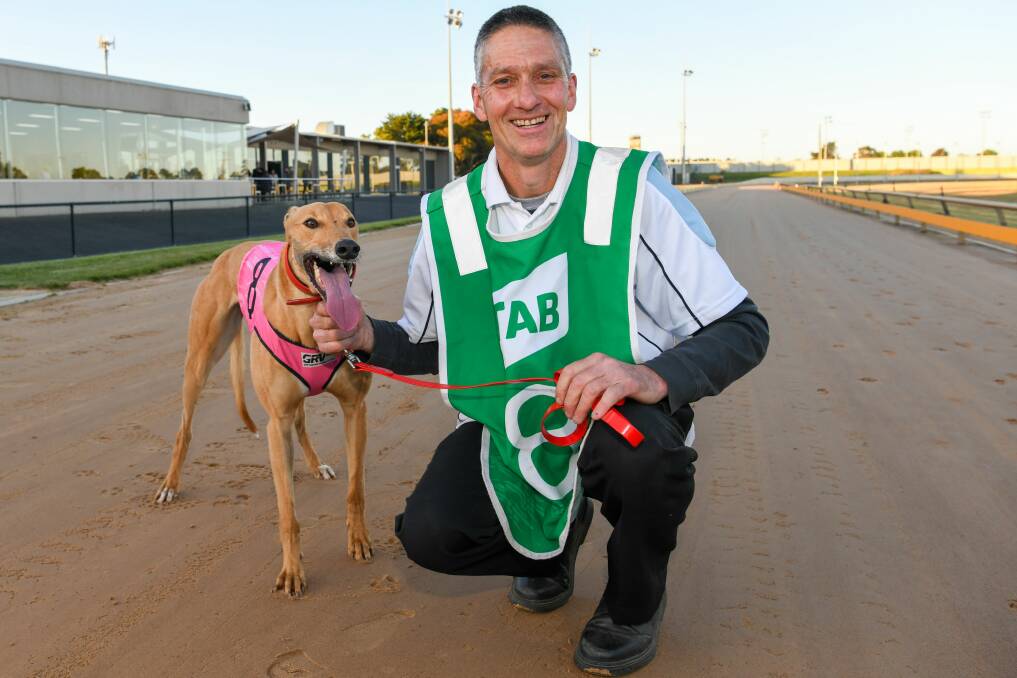 LINING IT UP: Warrnambool-trained sprinter Crimson Vixen is in contention for the $47,000 Ballarat Cup on Saturday night. Picture: GRV