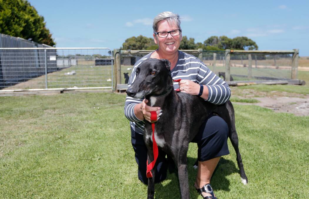LOCAL CHANCE: Linda Gore with Mepunga Cruzer. Gore owns My Girl Kizzy, who will contest the final. Picture: Anthony Brady