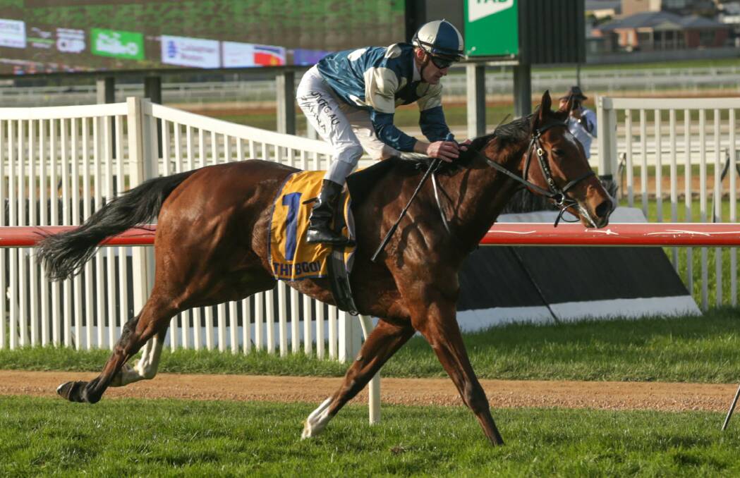 RUNNING HOT: Mark Zahra steers Le Don De Vie to success in the Warrnambool Cup. Picture: Chris Doheny