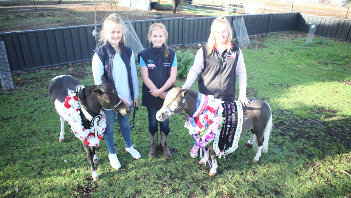 WINNERS: Amelia, Lucy and Victoria Barry had enormous success at the Independent Miniature Horse Registry National Show in Sydney. 
