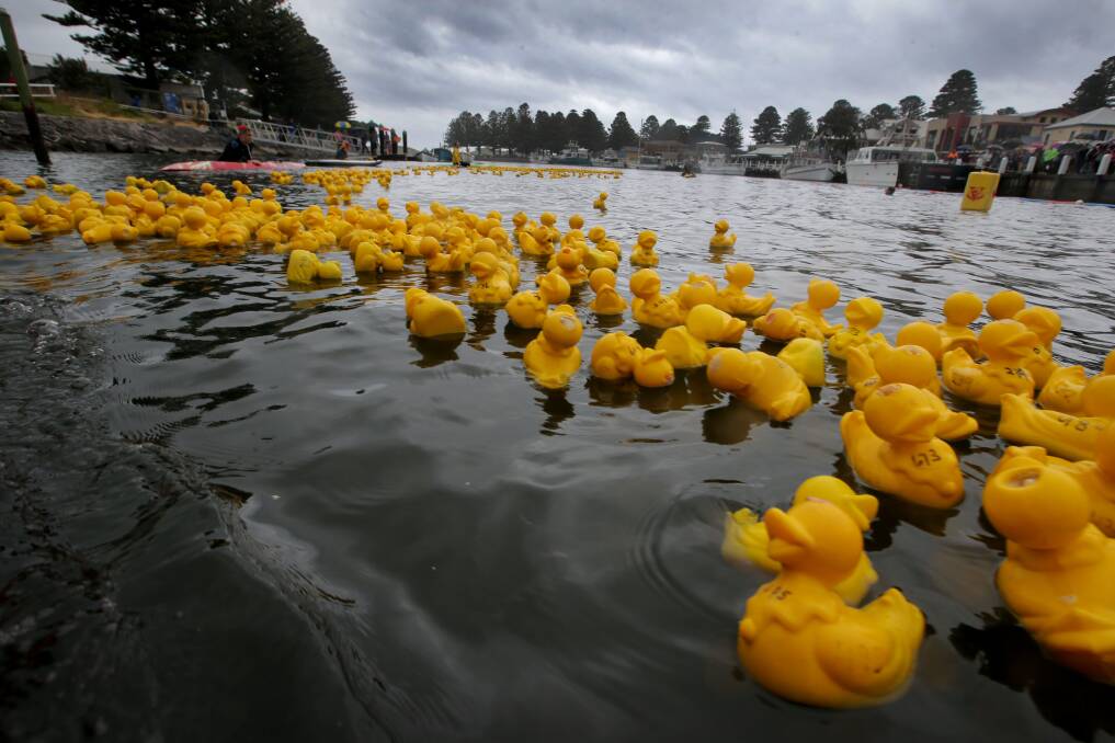 Lucky Duck: Port Fairy will welcome in the New Year with an array of events as part of its annual Moyneyana Festival, including the Duck Derby held on the river at 2pm on Tuesday.
