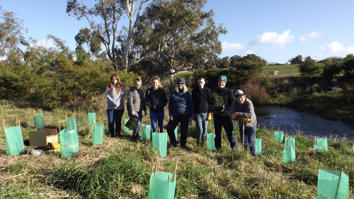 Green thumbs: TAFE conservation students replant 300 trees and shrubs to help reduce weeds, create habitat for wildlife and provide shelter at Panmure's springs.