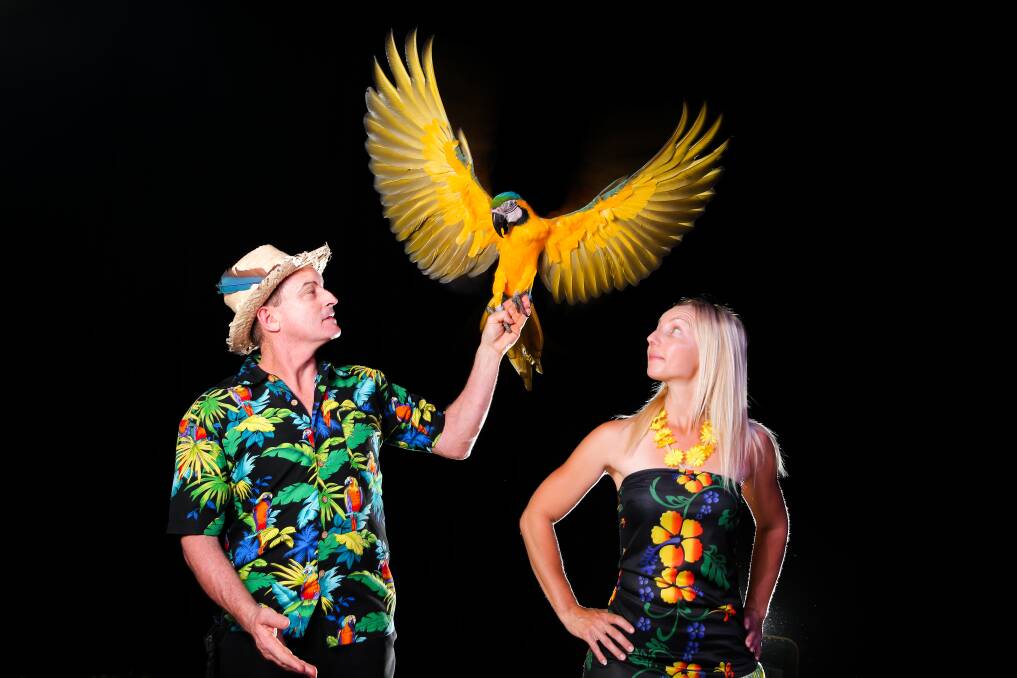 Learning to fly: Animal trainers Rob Joye and Belinda McGahan and their blue and gold macaw Jose are spreading their wings under a new big top. Picture: Rob Gunstone