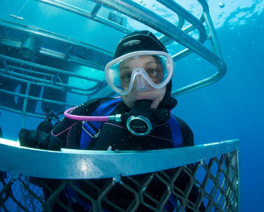 Underwater inspiration: Diver PT Hirschfield finds healing in the ocean and wants others to embrace this same positivity by sharing her ocean photos and battle with cancer story.