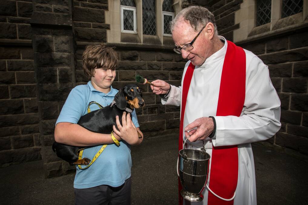 Good dog: St Joseph's Father John Fitzpatrick blessed 14 dogs and one chicken at the Blessing of Animals on Friday night. 
